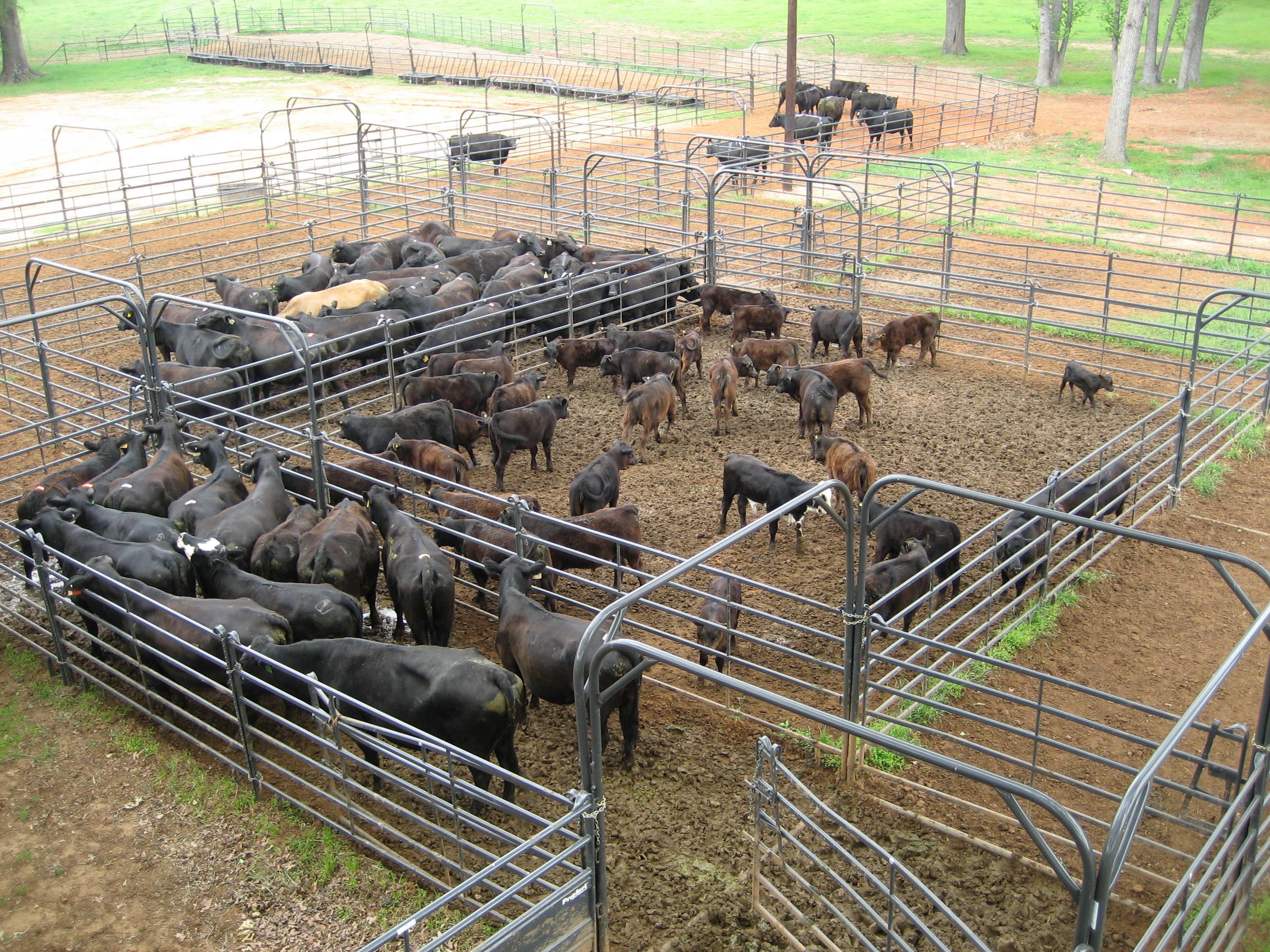 Premier Panel PP10 03.jpg